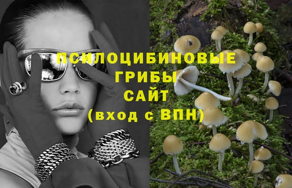 PSILOCYBIN Белокуриха